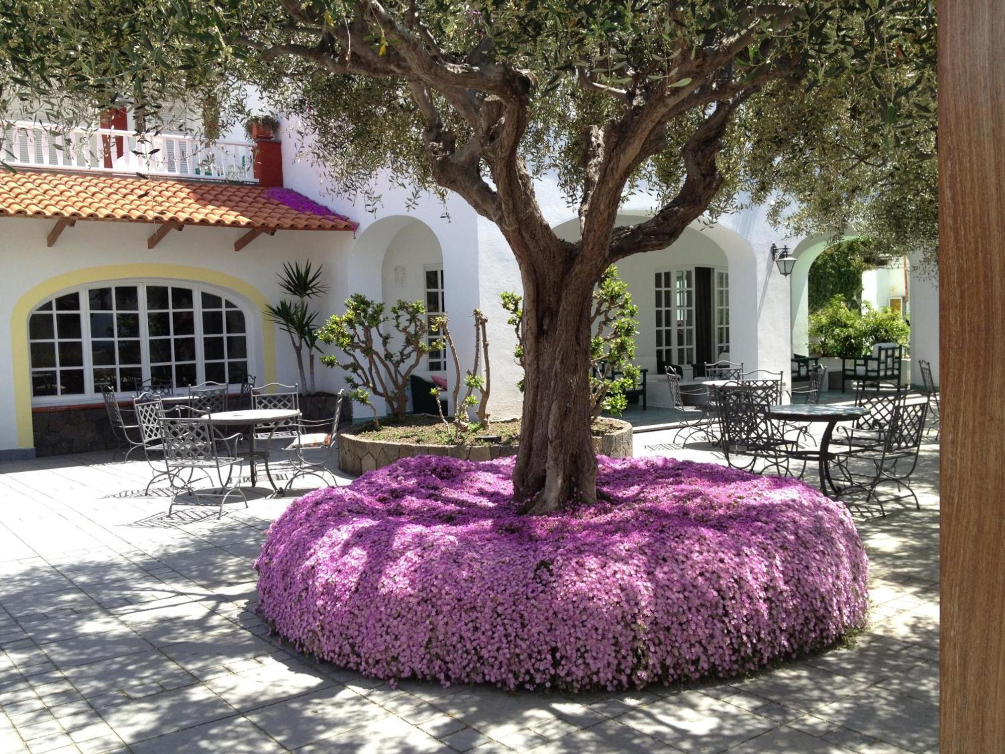 Hotel La Scogliera 4*
